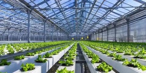未來已來 探訪5G植物工廠與農業(yè)數(shù)字孿生實驗室，揭秘新農業(yè)的技術革命
