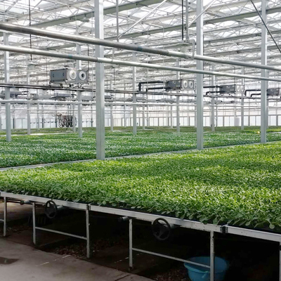 植物工廠多層花卉種植架 ABS潮汐式苗盤面板引領高效農業(yè)種植技術